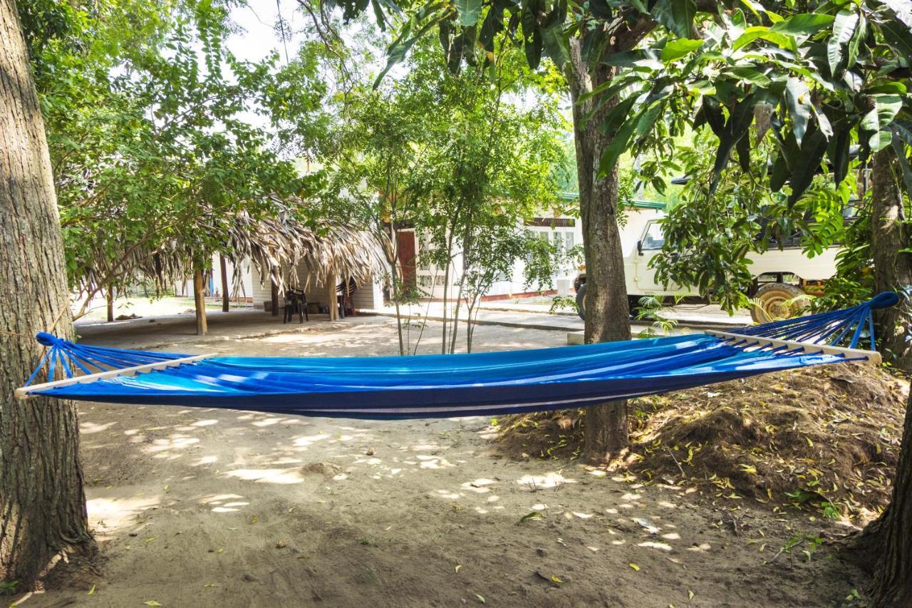 Best Hostel Yala Tissamaharama Szoba fotó